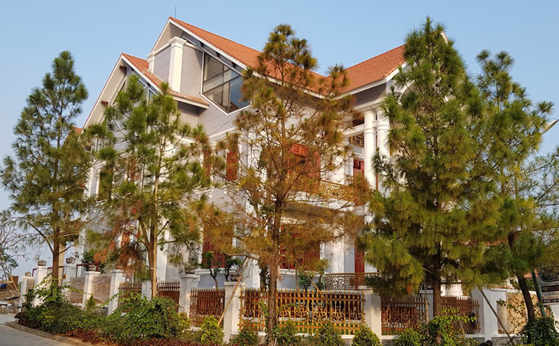 Chị Duyên - Thi công phào chỉ PU biệt thự Phoenix Garden Đan Phượng